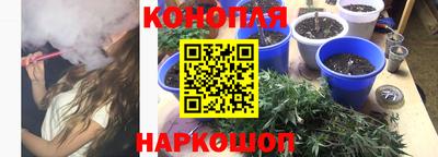 мдма Новодвинск