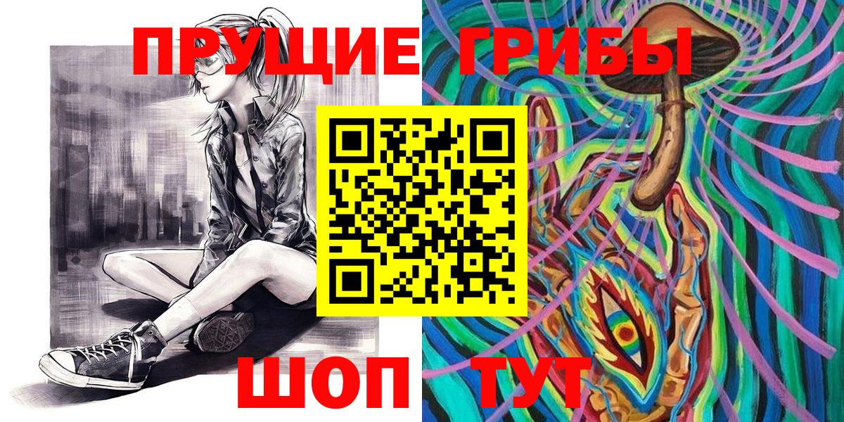 хочу   Псилоцибиновые грибы GOLDEN TEACHER  Вход с VPN  Протвино 