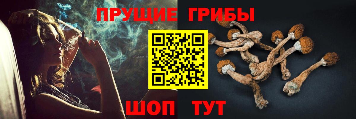 Галлюциногенные грибы GOLDEN TEACHER Протвино